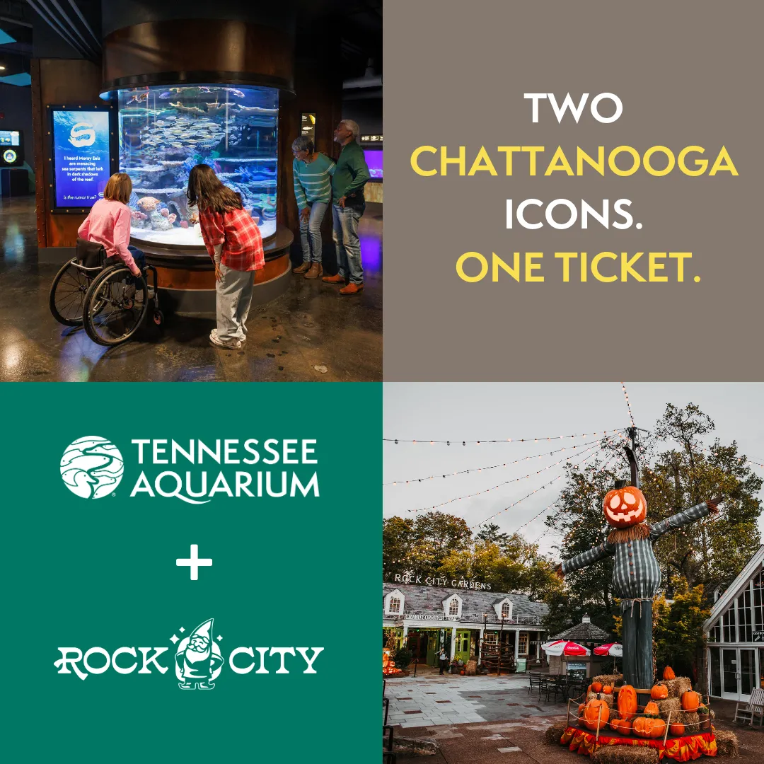 Promotional graphic for Aquarium x Rock City combo ticket with a photo of guests enjoying the Scuttlebutt Reef gallery at the TN Aquarium in the top left and a photo of fall/Halloween decorations at Rock City in the bottom right