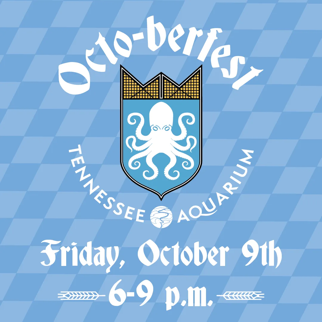 Promotional graphic for Octo-berfest at the TN Aquarium on October 9, 2026