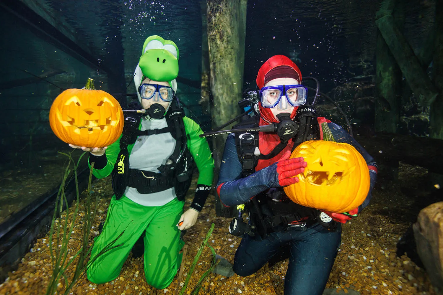 Underwater pumpkin carving kicks off ODDtober at the Tennessee Aquarium